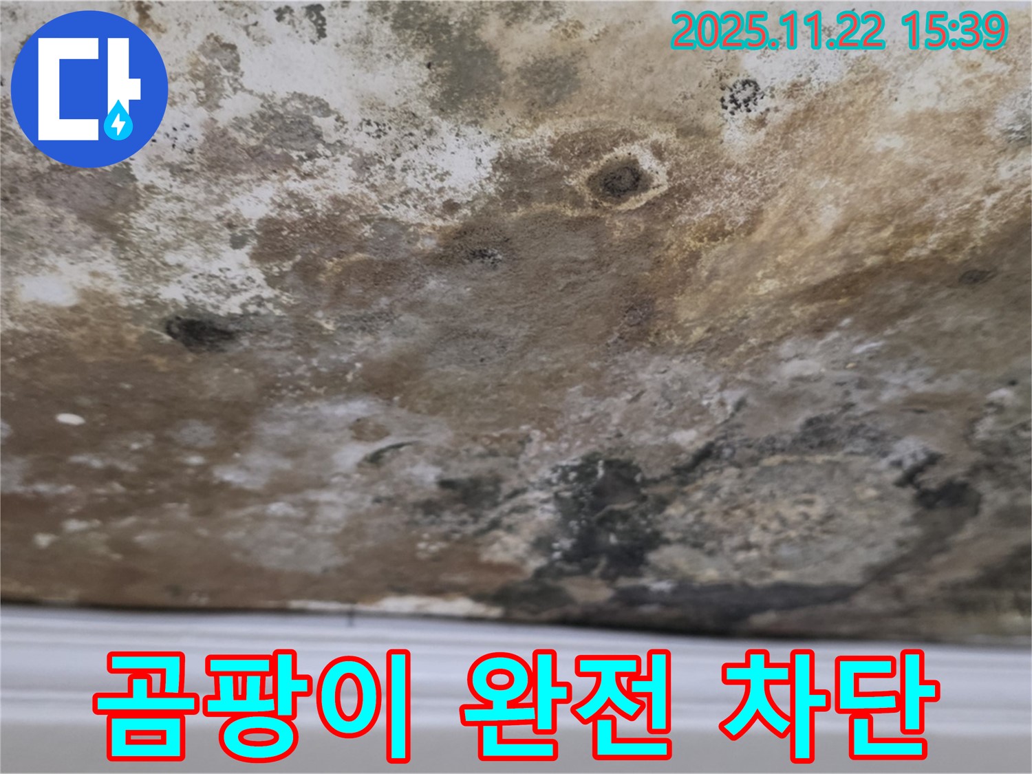 마포구 새창로8길 - 곰팡이 완전 차단, 깨끗하고 쾌적한 공간으로 리뉴얼!