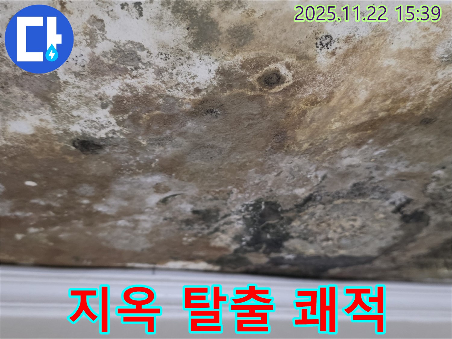 마포구 새창로8길 - 곰팡이 지옥 탈출, 쾌적한 공간으로 변신