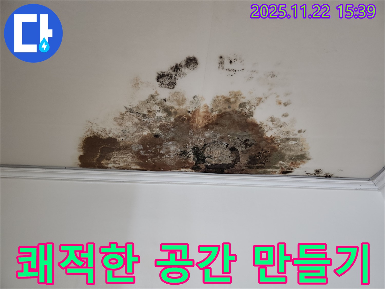 마포구 새창로8길 누수 - 곰팡이 OUT, 현대홈타운 쾌적한 공간