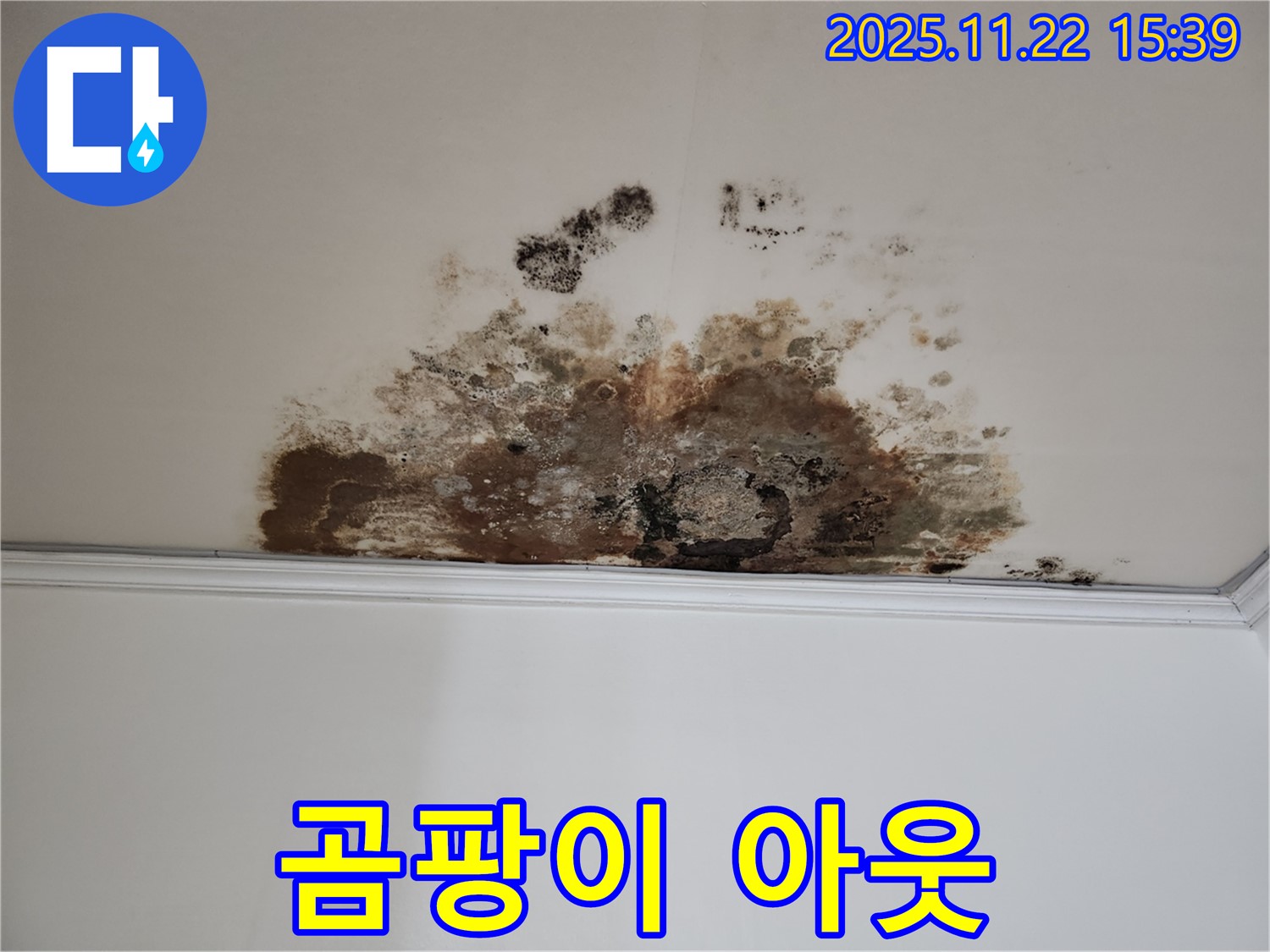마포구 새창로8길 누수 - 곰팡이 아웃, 쾌적한 보금자리로 변신