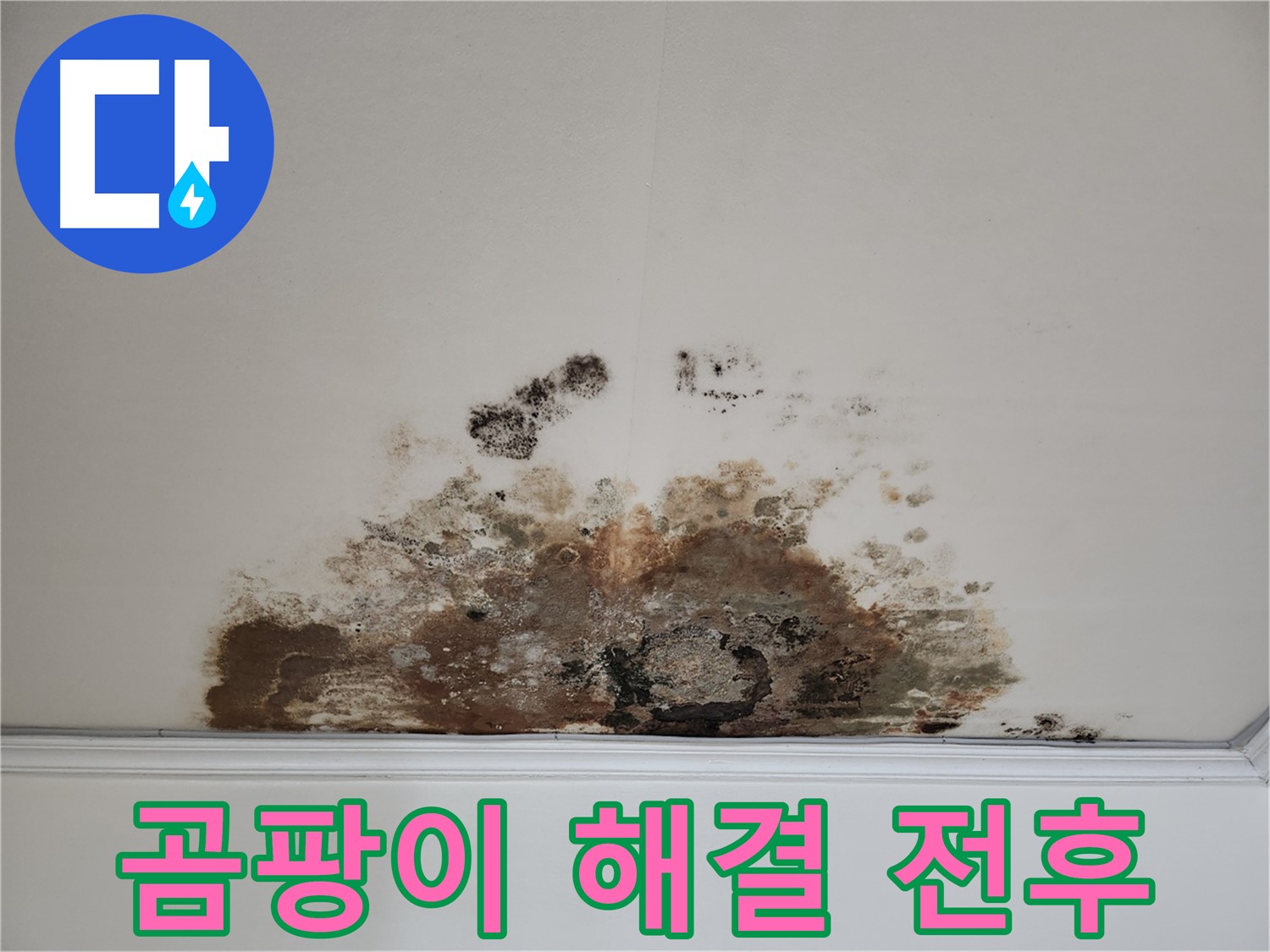 마포구 아파트 누수 - 곰팡이 천장 해결 전후 비교 공개