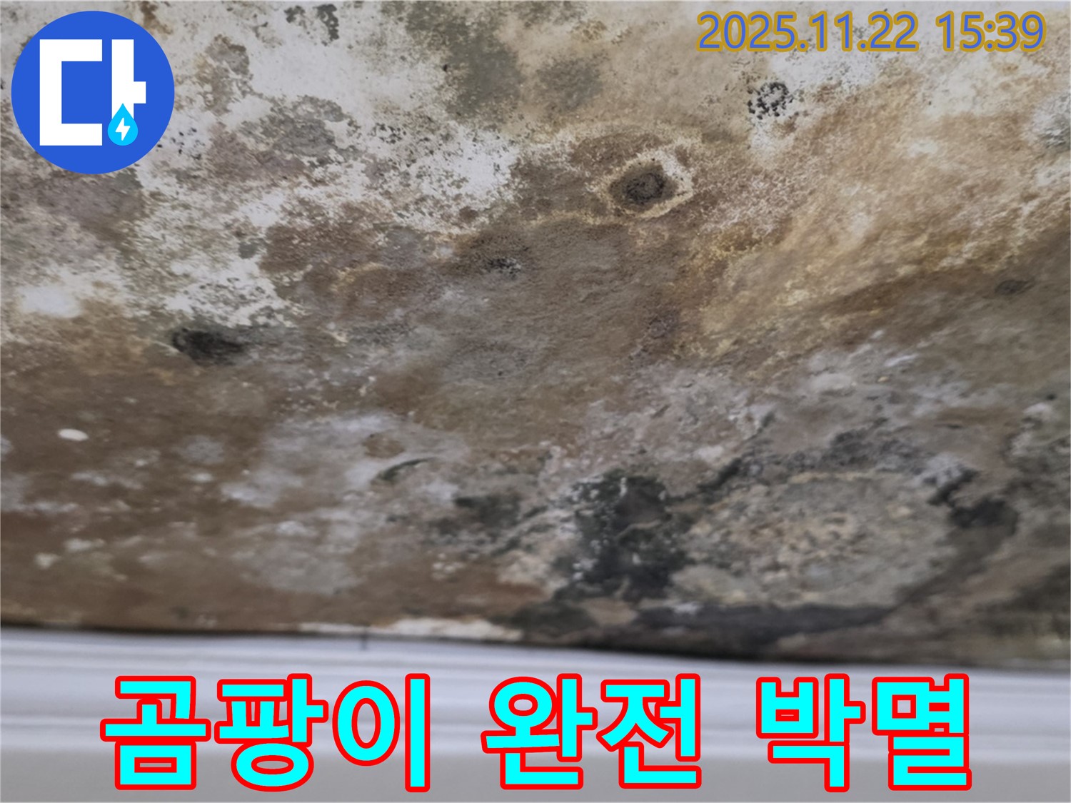 마포구 용강동 누수 - 곰팡이 완전 박멸, 상쾌한 천장으로 컴백!