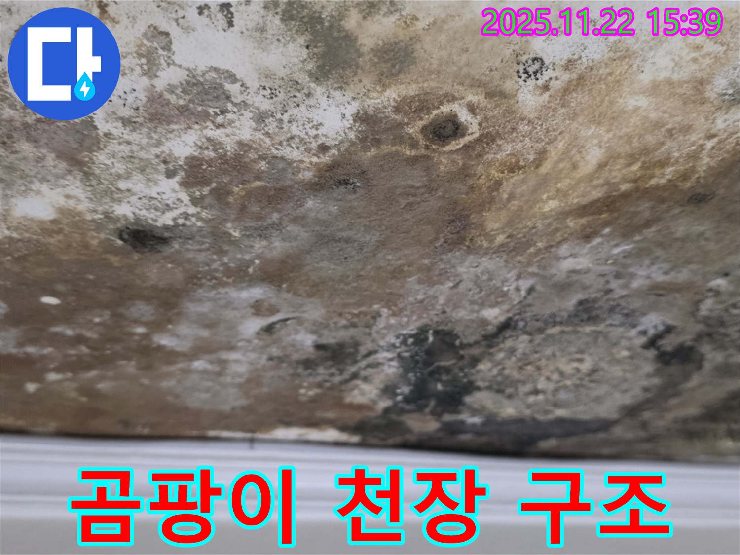 마포구 용강동 누수 - 곰팡이 완전 점령, 천장 구조 대작전!