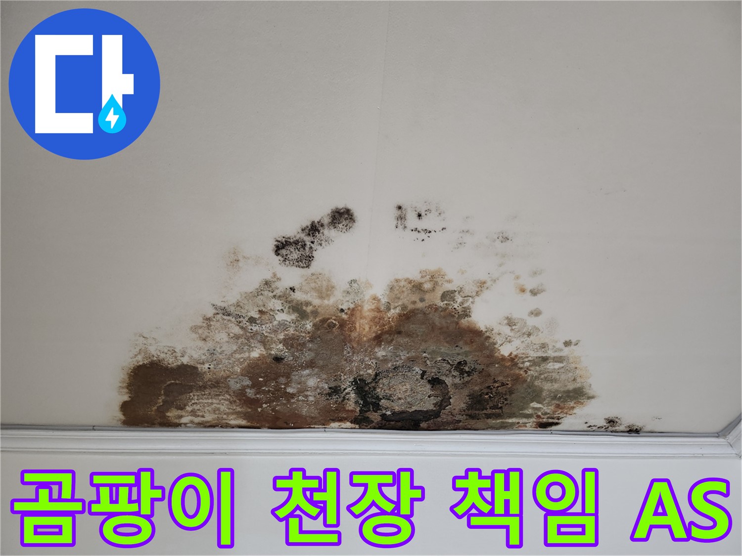 마포구 용강동 누수 곰팡이 천장 - 철저한 A/S 끝까지 책임 시공