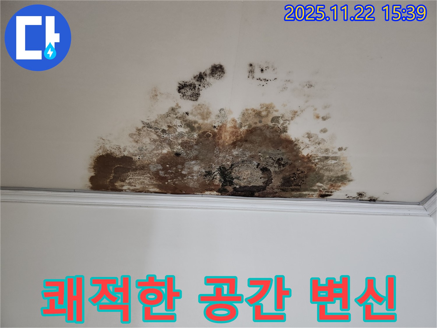 마포구 용강동 새창로8길 누수 - 곰팡이 차단, 현대홈타운 쾌적한 공간