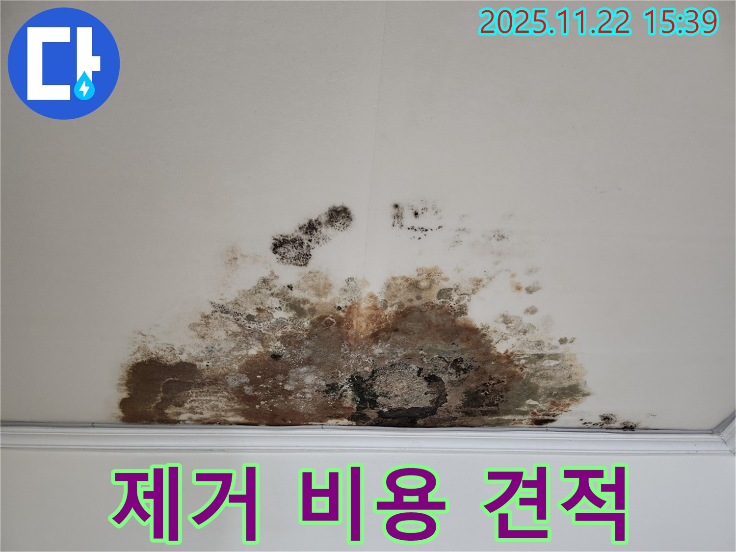 마포구 용강동 아파트 - 곰팡이 천장, 곰팡이 제거 비용, 합리적인 견적 제공