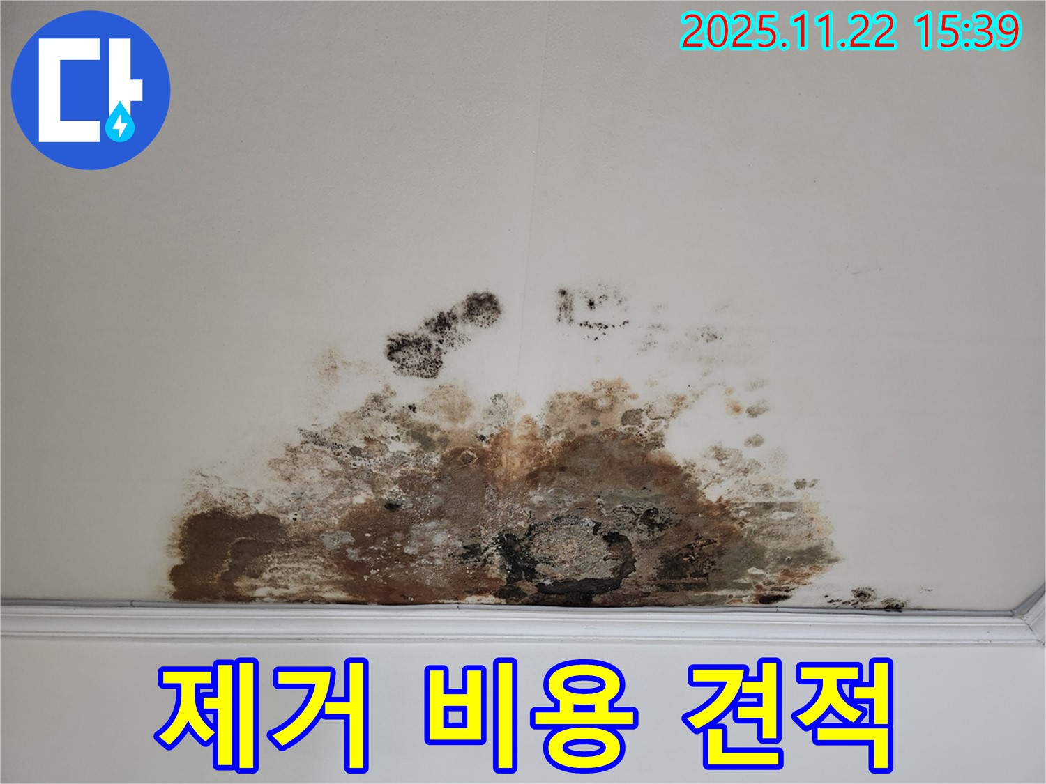 마포구 용강동 아파트 - 곰팡이 천장, 곰팡이 제거 비용, 합리적인 견적 제공