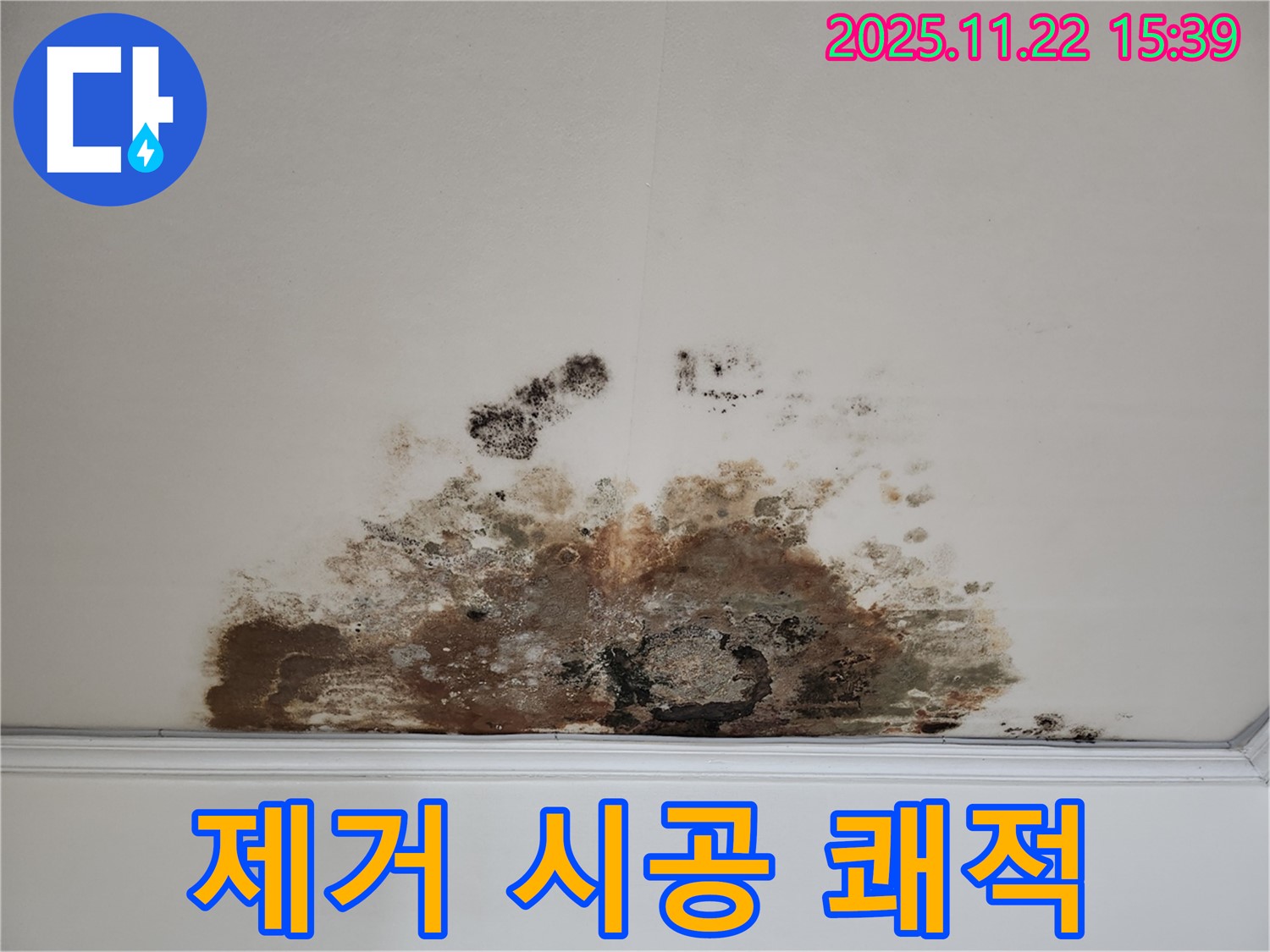마포구 용강동 아파트 - 곰팡이 천장, 곰팡이 제거, 완벽한 시공으로 쾌적한 공간 완성