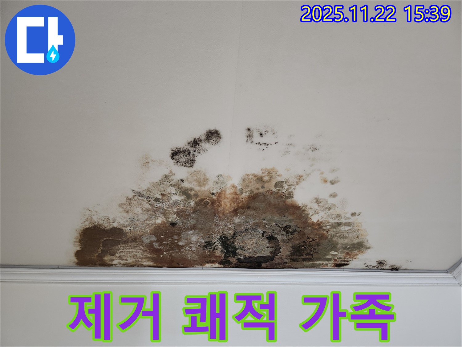 마포구 용강동 아파트 - 곰팡이 천장, 곰팡이 제거, 쾌적한 거실 공간, 가족과 함께