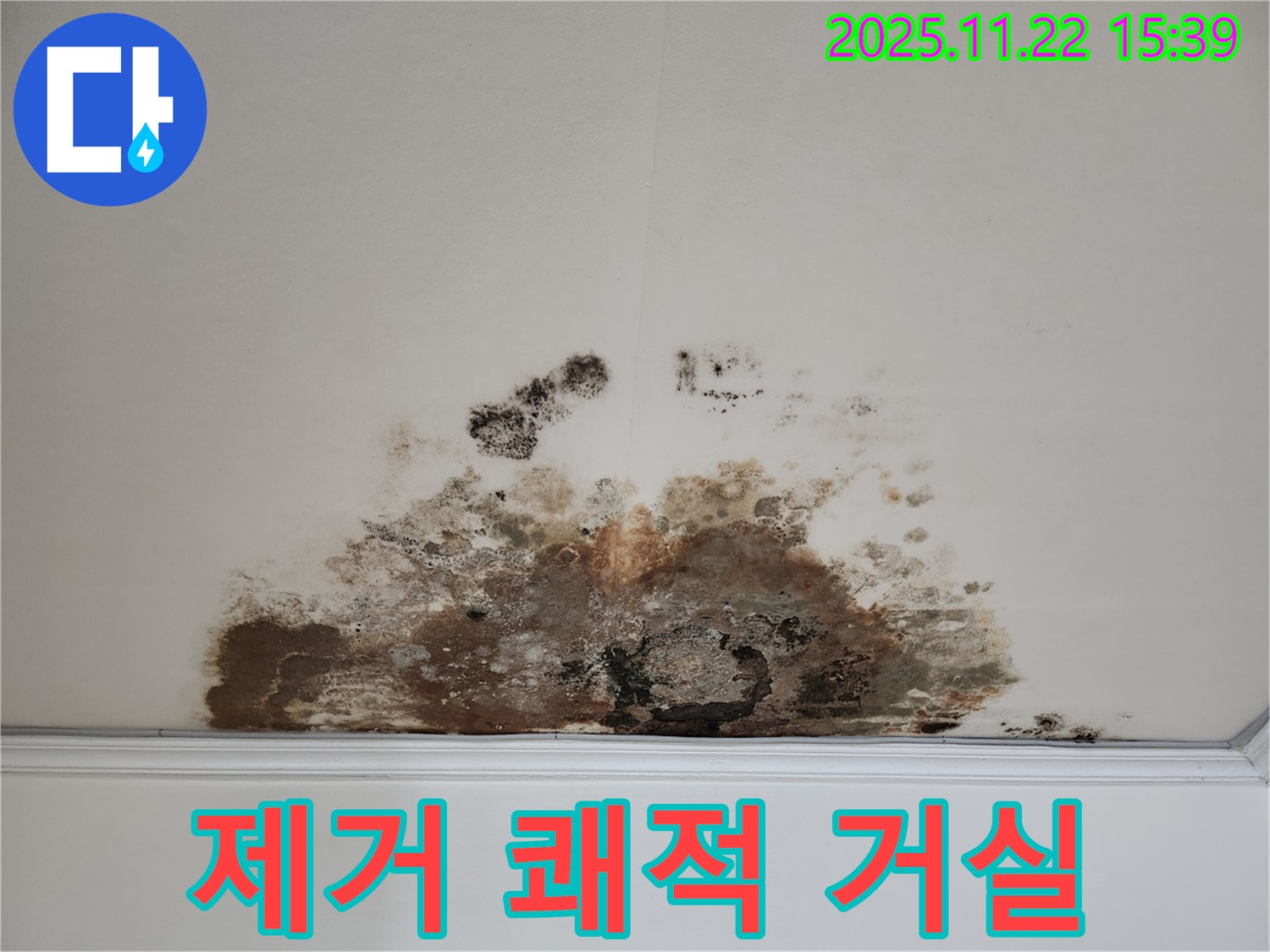 마포구 용강동 아파트 - 곰팡이 천장, 곰팡이 제거로 쾌적한 거실 공간 조성