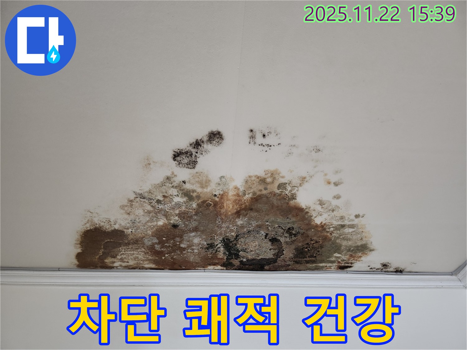 마포구 용강동 아파트 - 곰팡이 천장, 완벽 차단 후 쾌적한 공간, 건강까지!