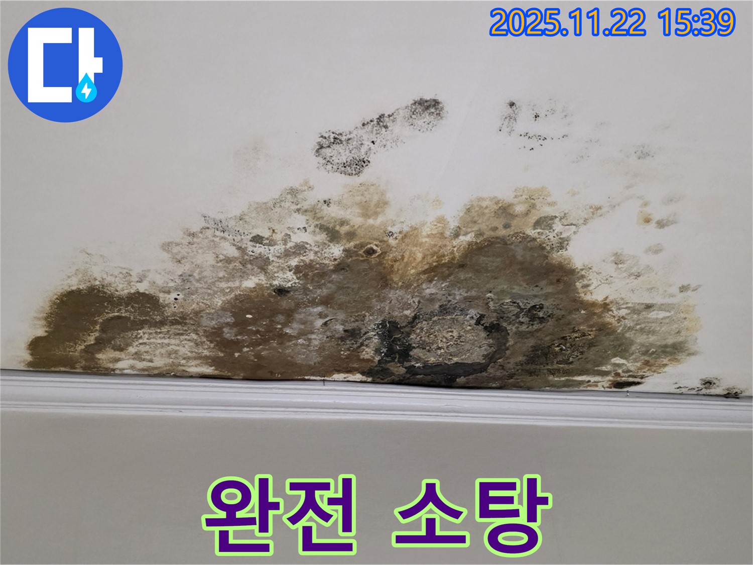 마포구 용강동 아파트 누수 - 곰팡이 완전 소탕, 깨끗한 우리집에서 행복 시작!