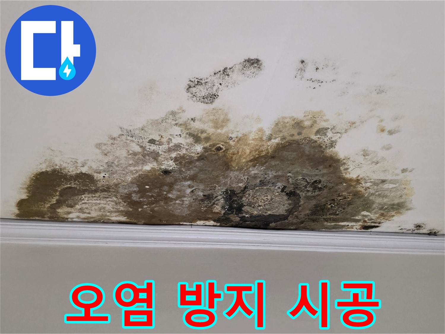 마포구 용강동 현대홈타운 아파트 - 곰팡이 천장 - 2차 오염 방지 철저 시공