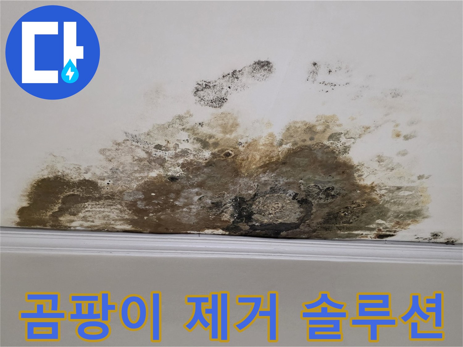 마포구 용강동 현대홈타운 아파트 - 곰팡이 천장 - 완벽한 곰팡이 제거 솔루션 제공