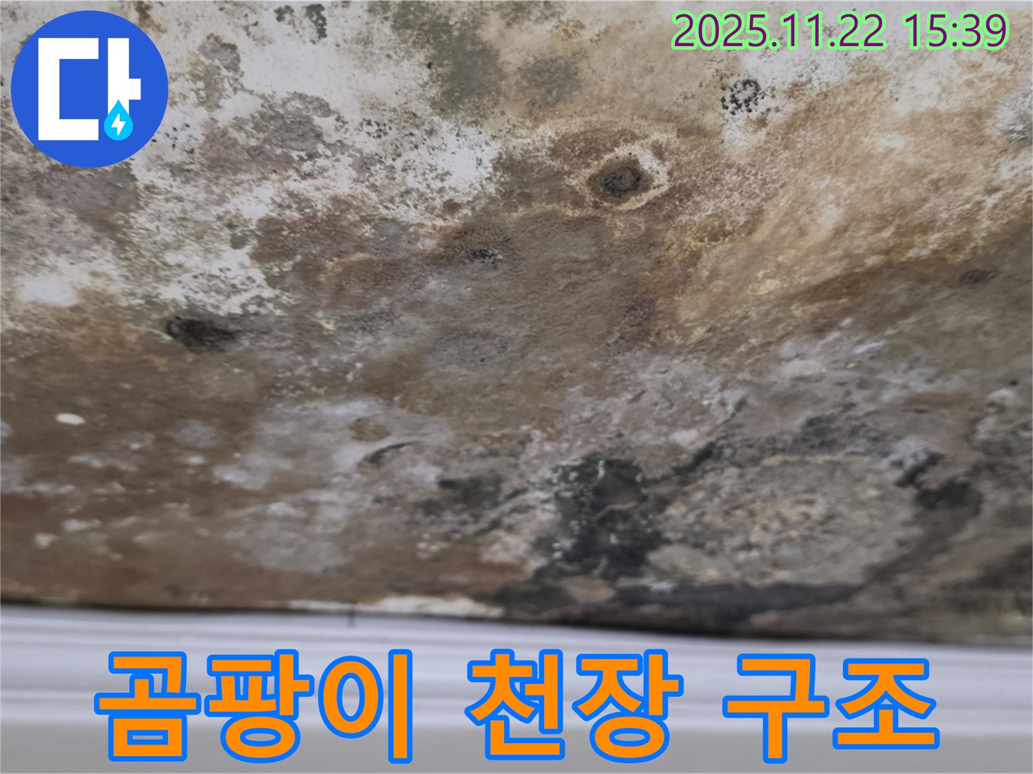 마포구 현대홈타운 - 곰팡이 쓰나미, 천장 구조 대작전!