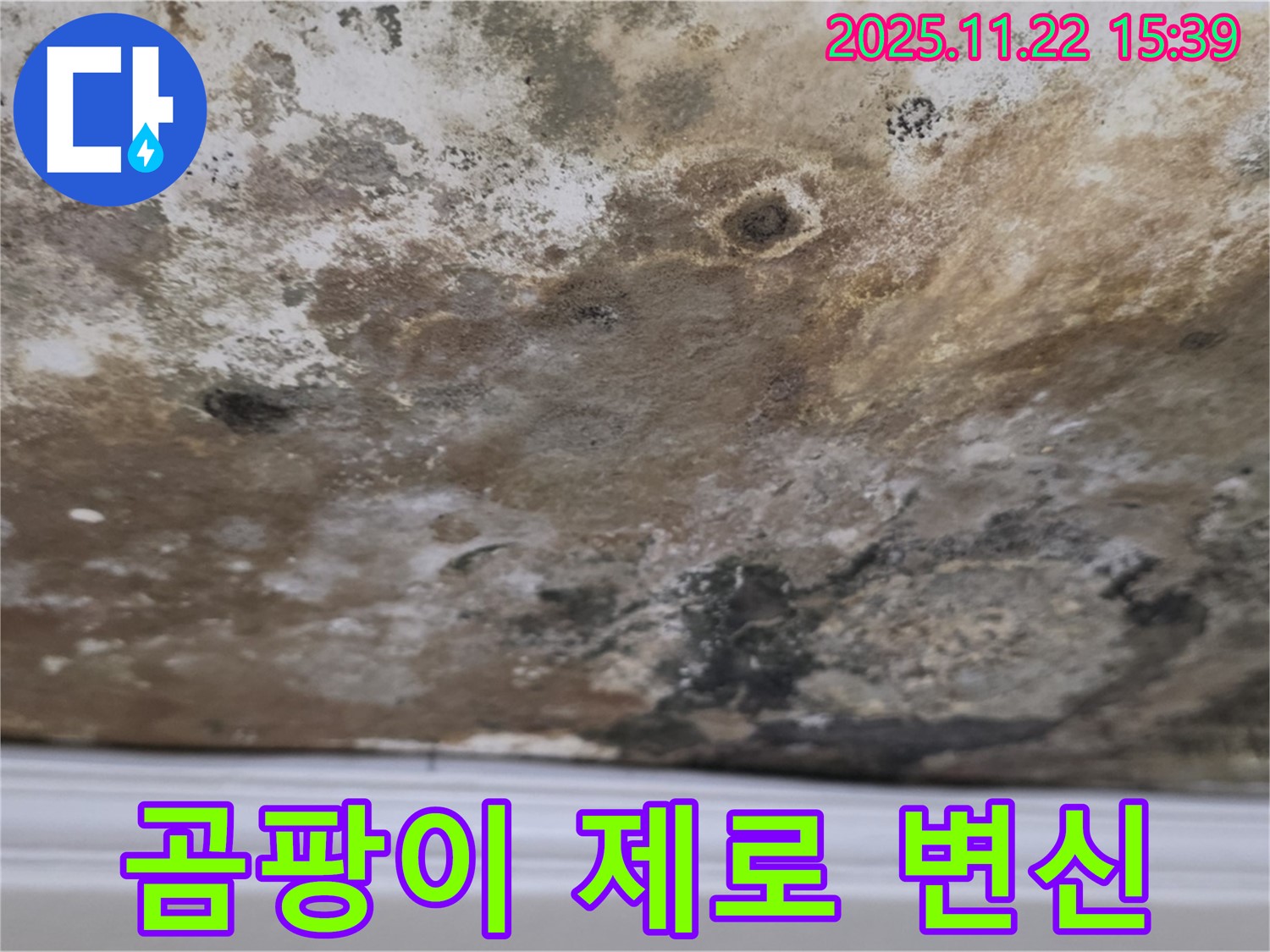마포구 현대홈타운 - 곰팡이 제로, 쾌적한 천장으로 변신!