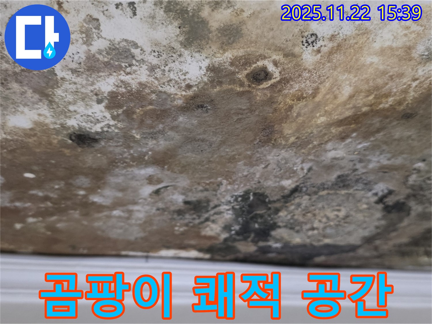 마포구 현대홈타운 - 곰팡이 천장, 완벽 해결! 쾌적한 공간으로!