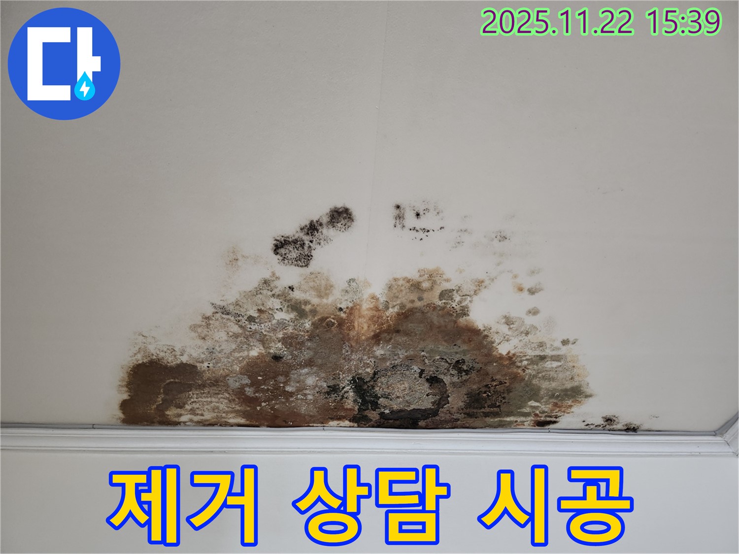새창로 현대홈타운 아파트 - 곰팡이 천장, 곰팡이 제거, 꼼꼼한 상담 후 맞춤 시공