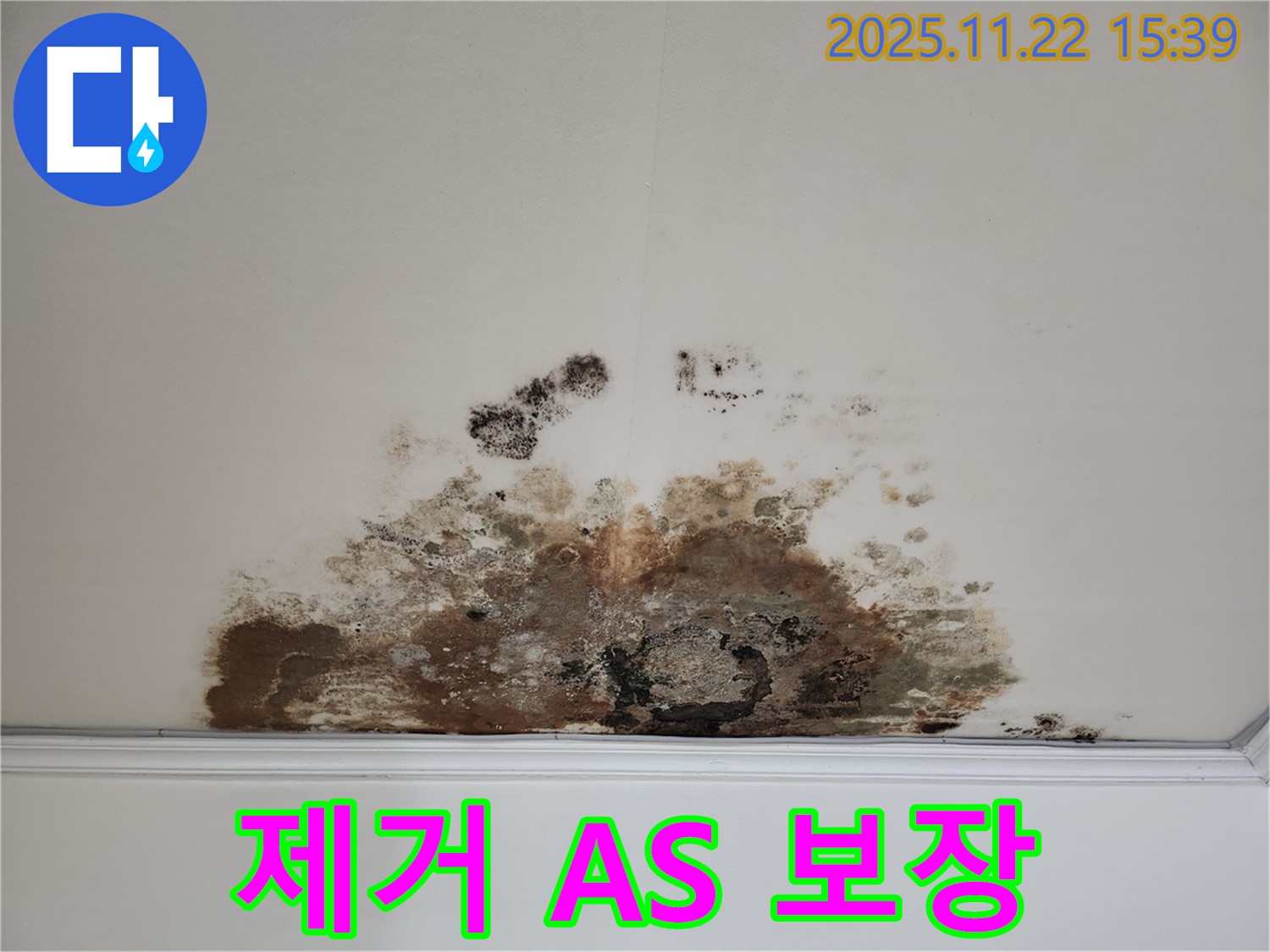 새창로 현대홈타운 아파트 - 곰팡이 천장, 곰팡이 제거, 완벽한 시공 후 A/S 보장