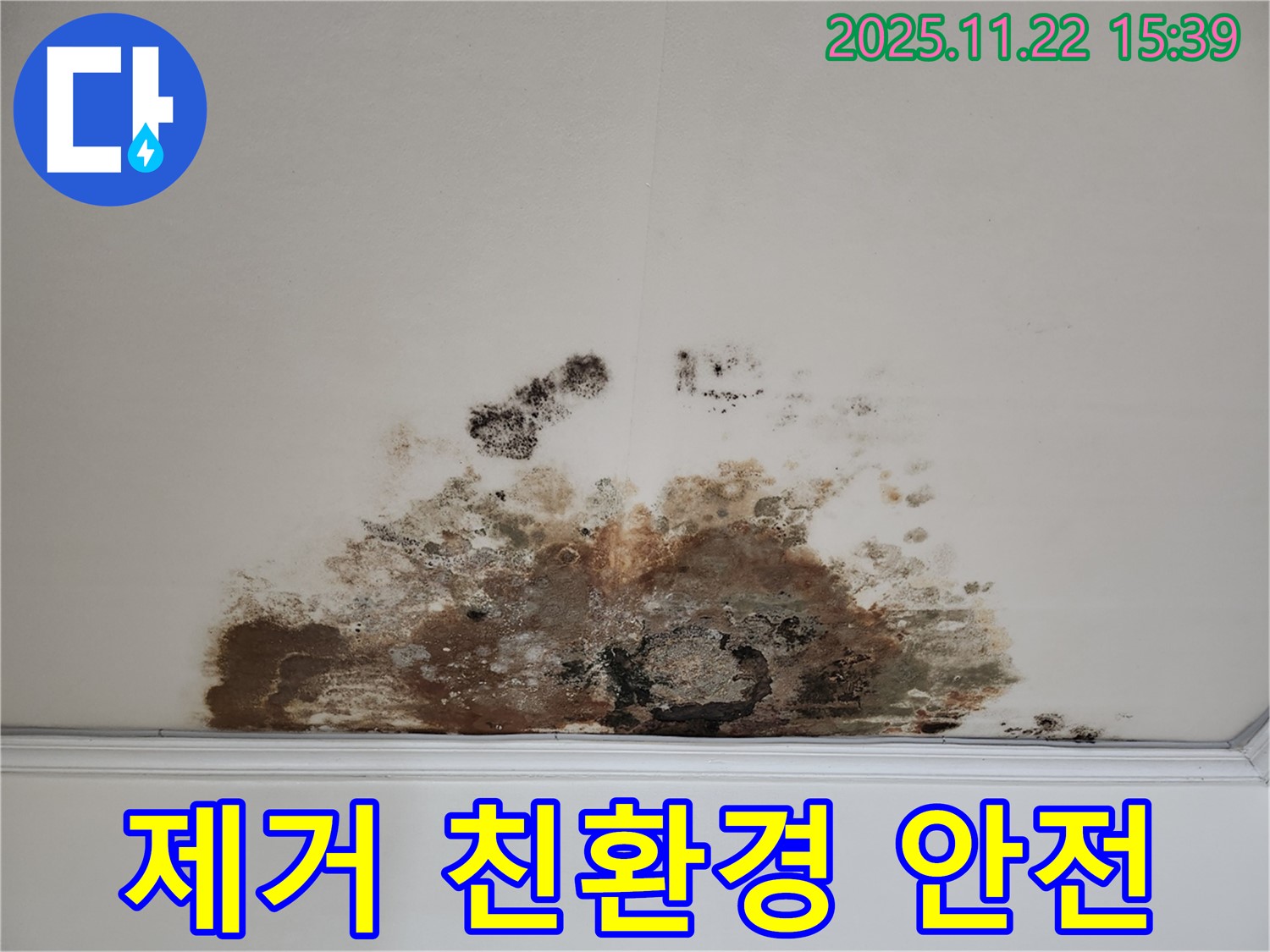 새창로 현대홈타운 아파트 - 곰팡이 천장, 곰팡이 제거, 친환경 약품 사용으로 안전하게 시공