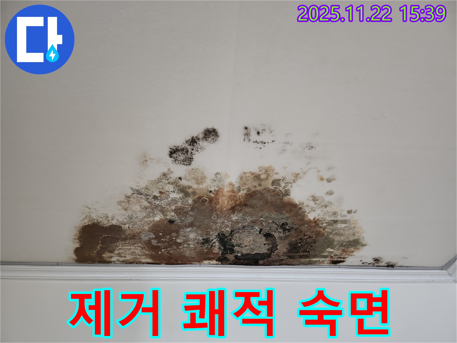 새창로 현대홈타운 아파트 - 곰팡이 천장, 곰팡이 제거, 쾌적한 수면 환경, 숙면하세요
