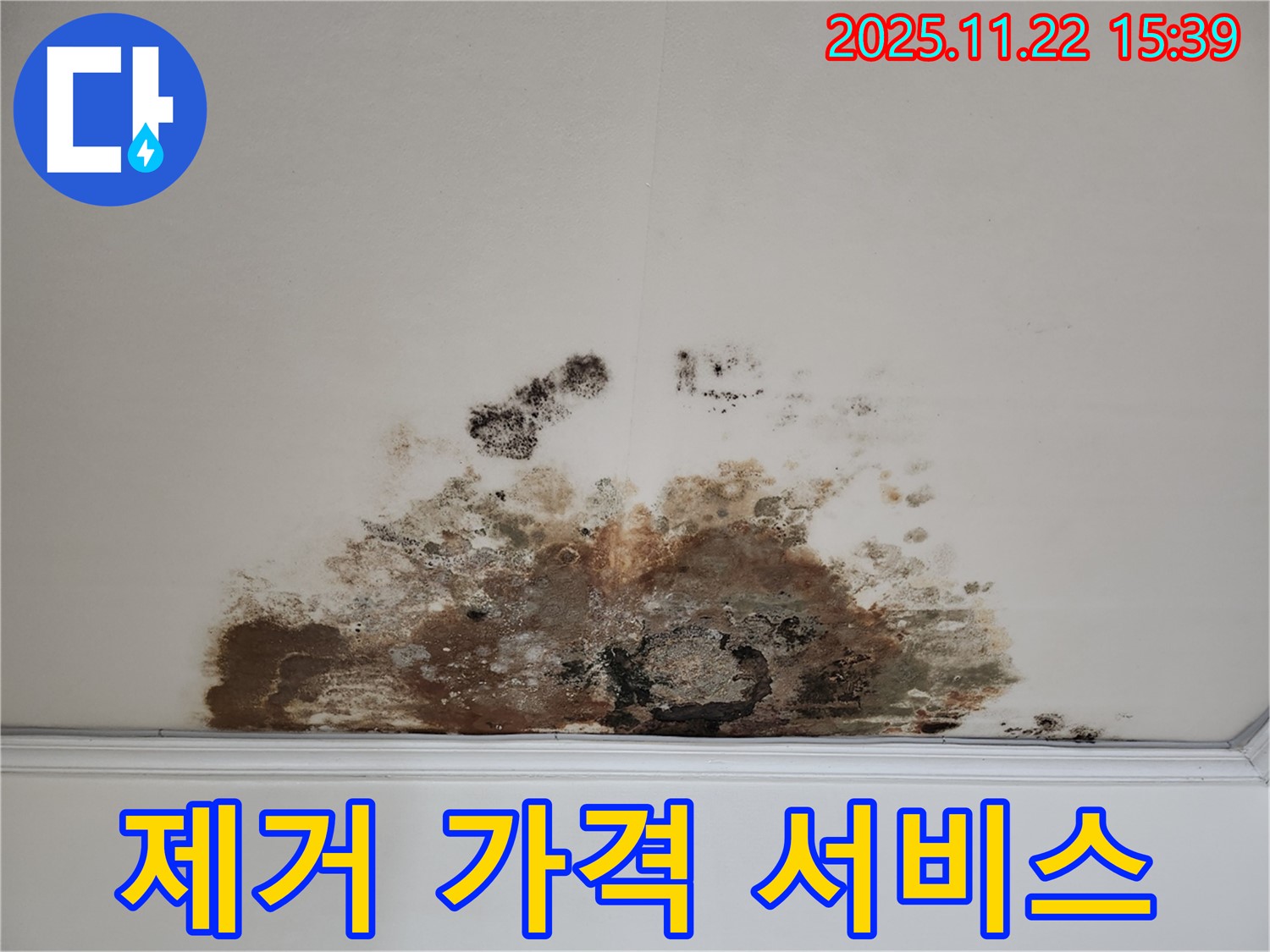 새창로 현대홈타운 아파트 - 곰팡이 천장, 곰팡이 제거, 합리적인 가격, 최고의 서비스