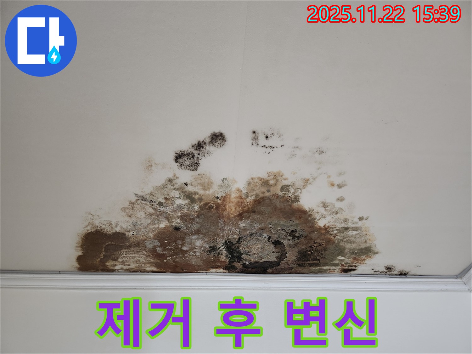 새창로 현대홈타운 아파트 - 곰팡이 천장, 곰팡이 제거 후 깨끗한 천장으로 변신