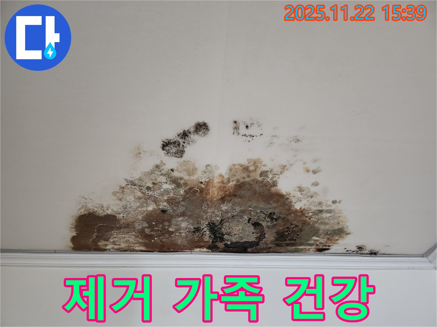 새창로 현대홈타운 아파트 - 곰팡이 천장, 곰팡이 제거로 가족 건강 지킴이