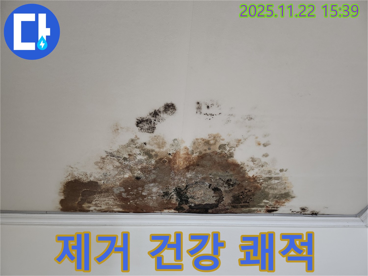 새창로 현대홈타운 아파트 - 곰팡이 천장, 곰팡이 제거로 건강하고 쾌적한 우리 집