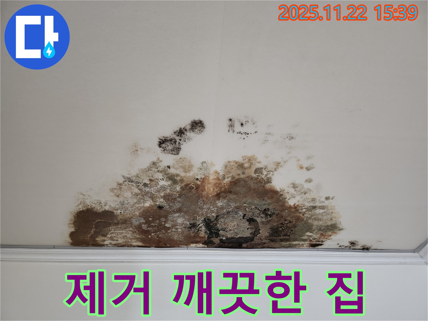새창로 현대홈타운 아파트 - 곰팡이 천장, 곰팡이 제거로 곰팡이 없는 깨끗한 집 완성