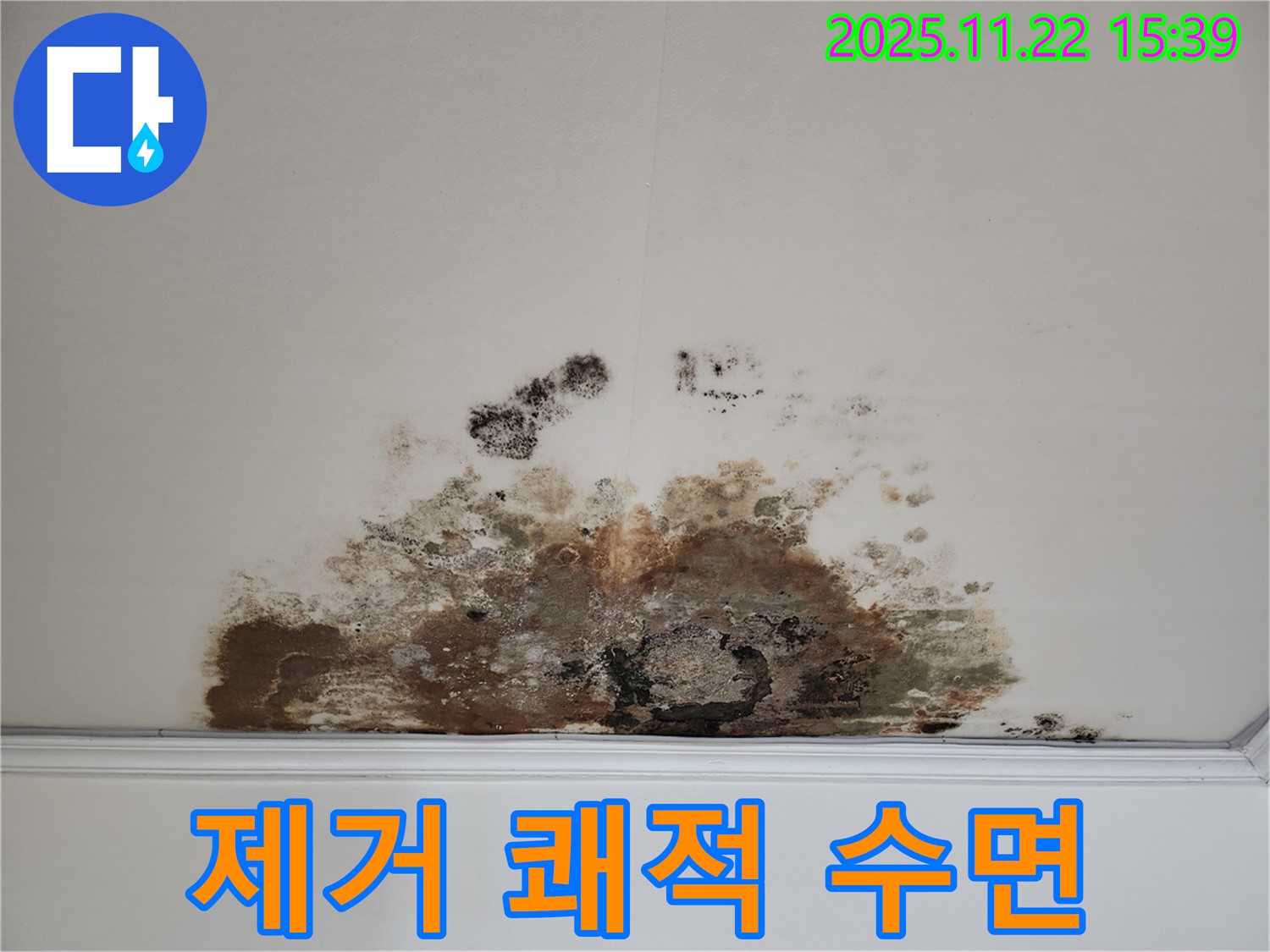 새창로 현대홈타운 아파트 - 곰팡이 천장, 곰팡이 제거로 쾌적한 수면 환경 조성