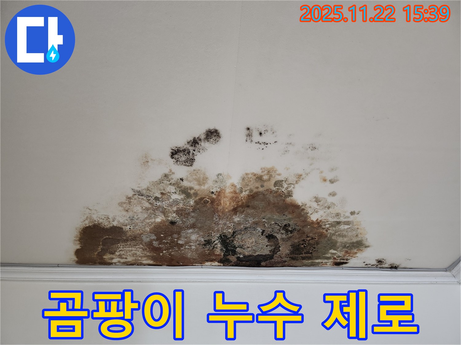 새창로 현대홈타운 아파트 - 곰팡이 천장, 완벽한 누수 차단으로 재발 제로
