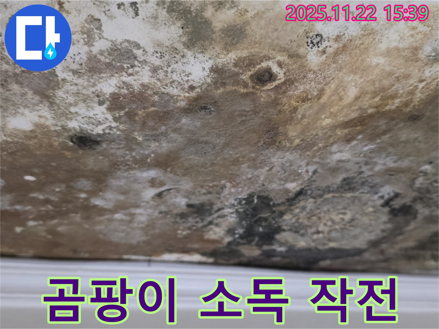 새창로8길 누수 - 곰팡이 습격, 천장 긴급 소독 작전!