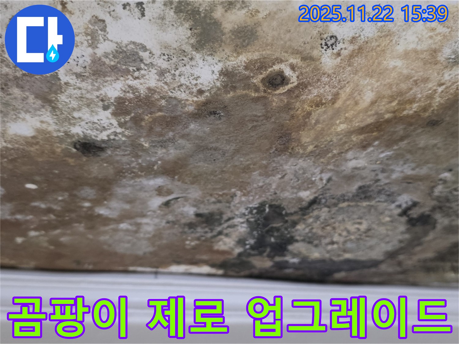새창로8길 누수 - 곰팡이 제로, 깨끗하고 안전한 공간으로 업그레이드!
