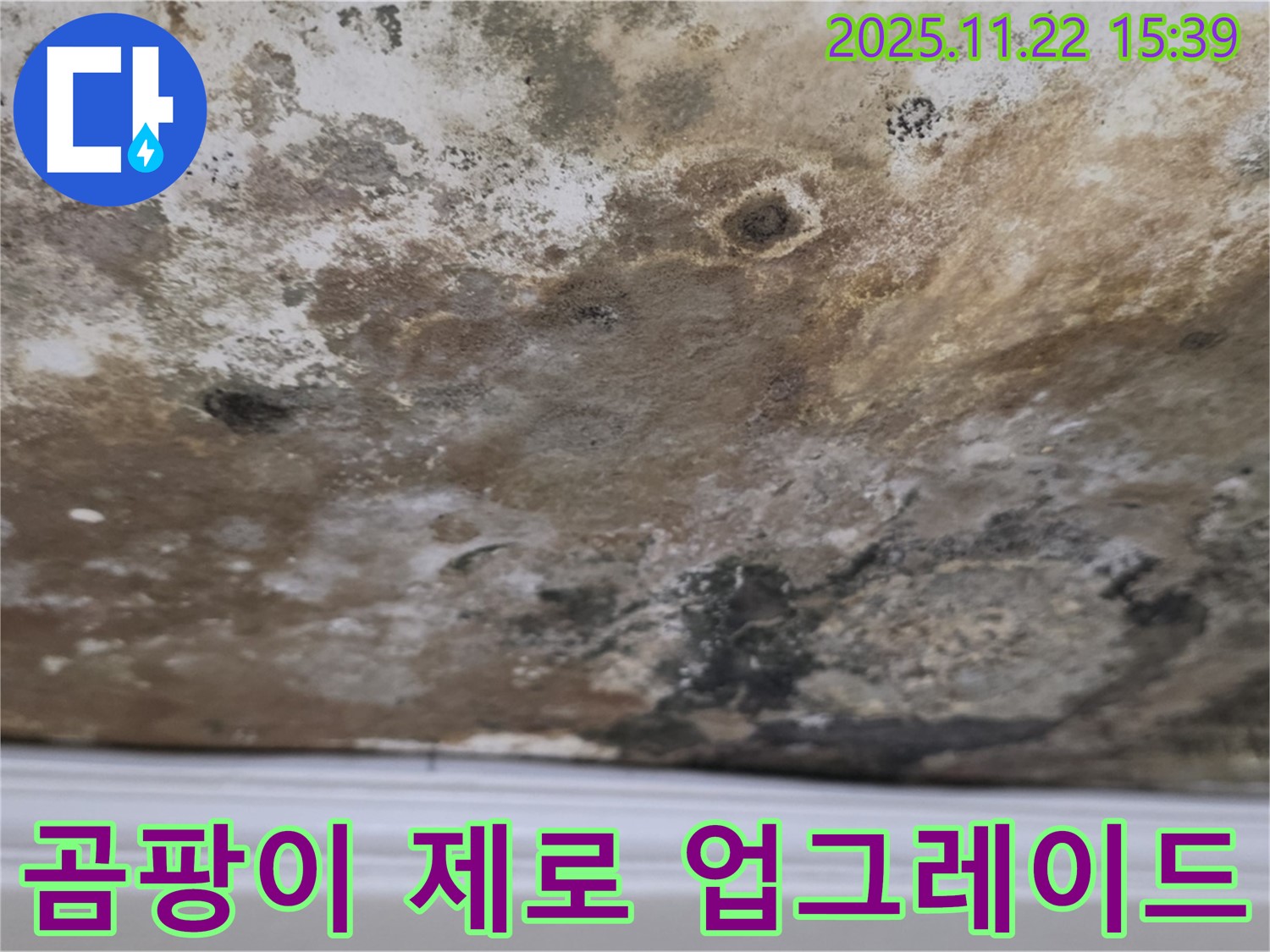 새창로8길 누수 - 곰팡이 제로, 깨끗하고 안전한 천장으로 업그레이드!