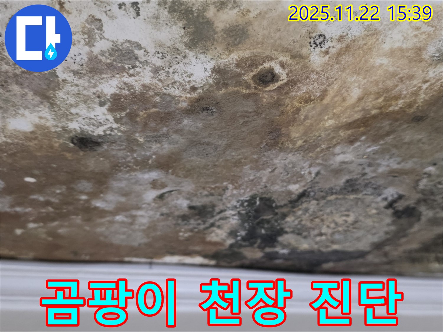 새창로8길 현대홈타운 - 곰팡이 심각, 천장 긴급 진단!