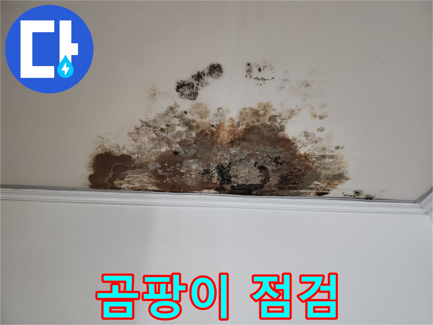 용강동 누수 - 곰팡이 꼼꼼 점검