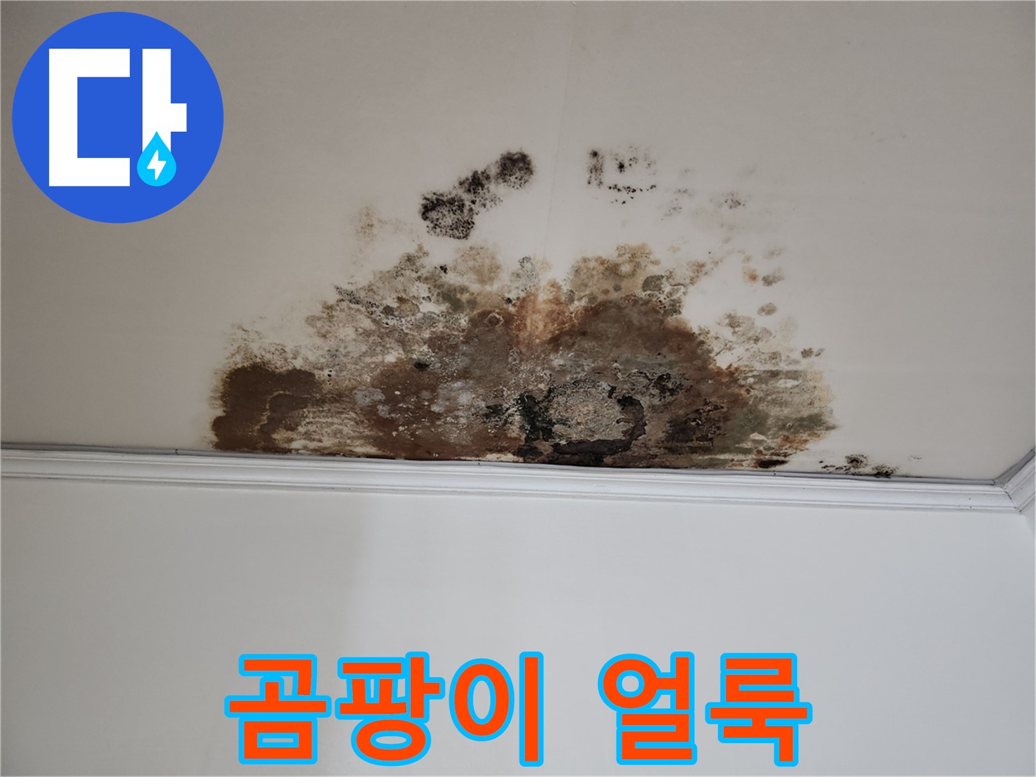 용강동 누수 - 곰팡이 얼룩진 천장