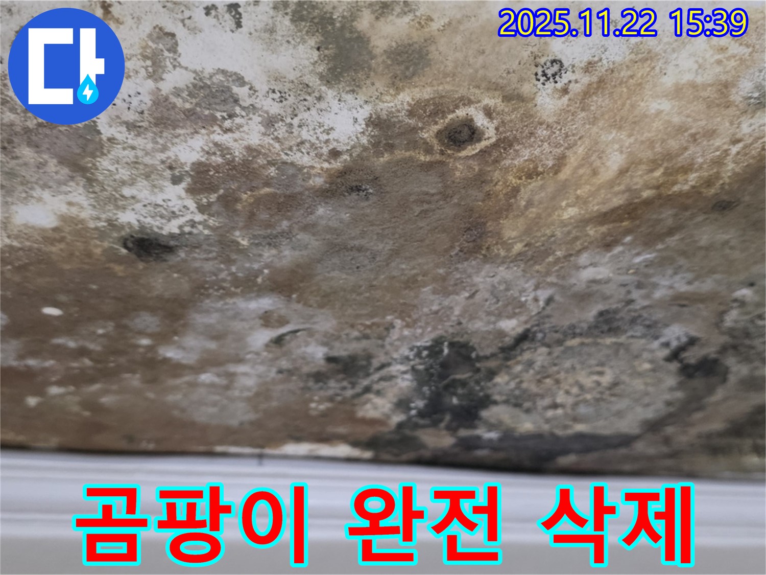 용강동 누수 - 곰팡이 완전 삭제, 깨끗한 공간으로 리부트!
