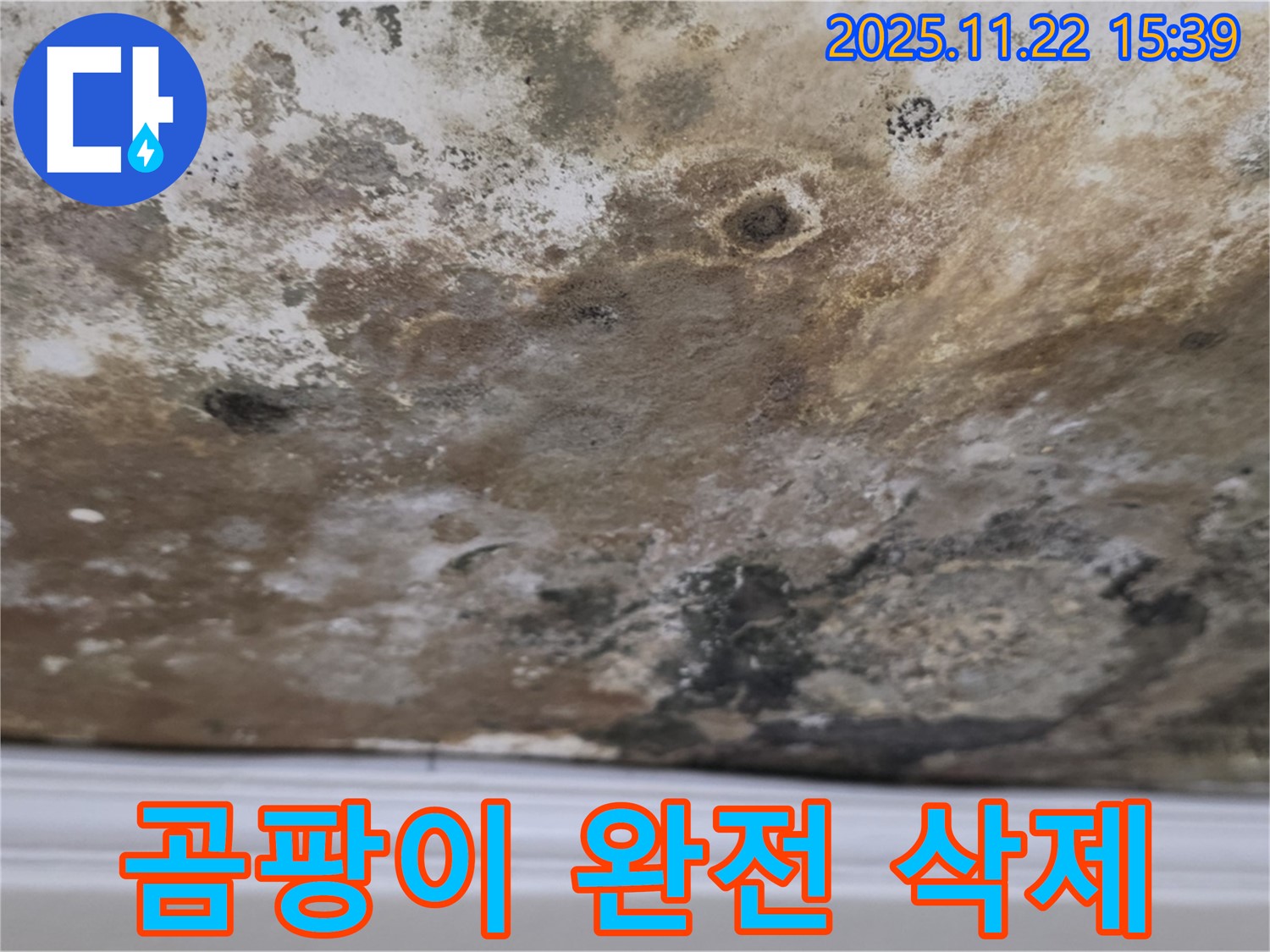 용강동 누수 - 곰팡이 완전 삭제, 쾌적한 천장 리부트!