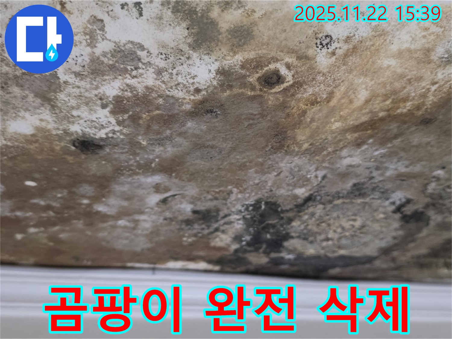 용강동 누수 - 곰팡이 완전 삭제, 쾌적한 천장으로 리부트!