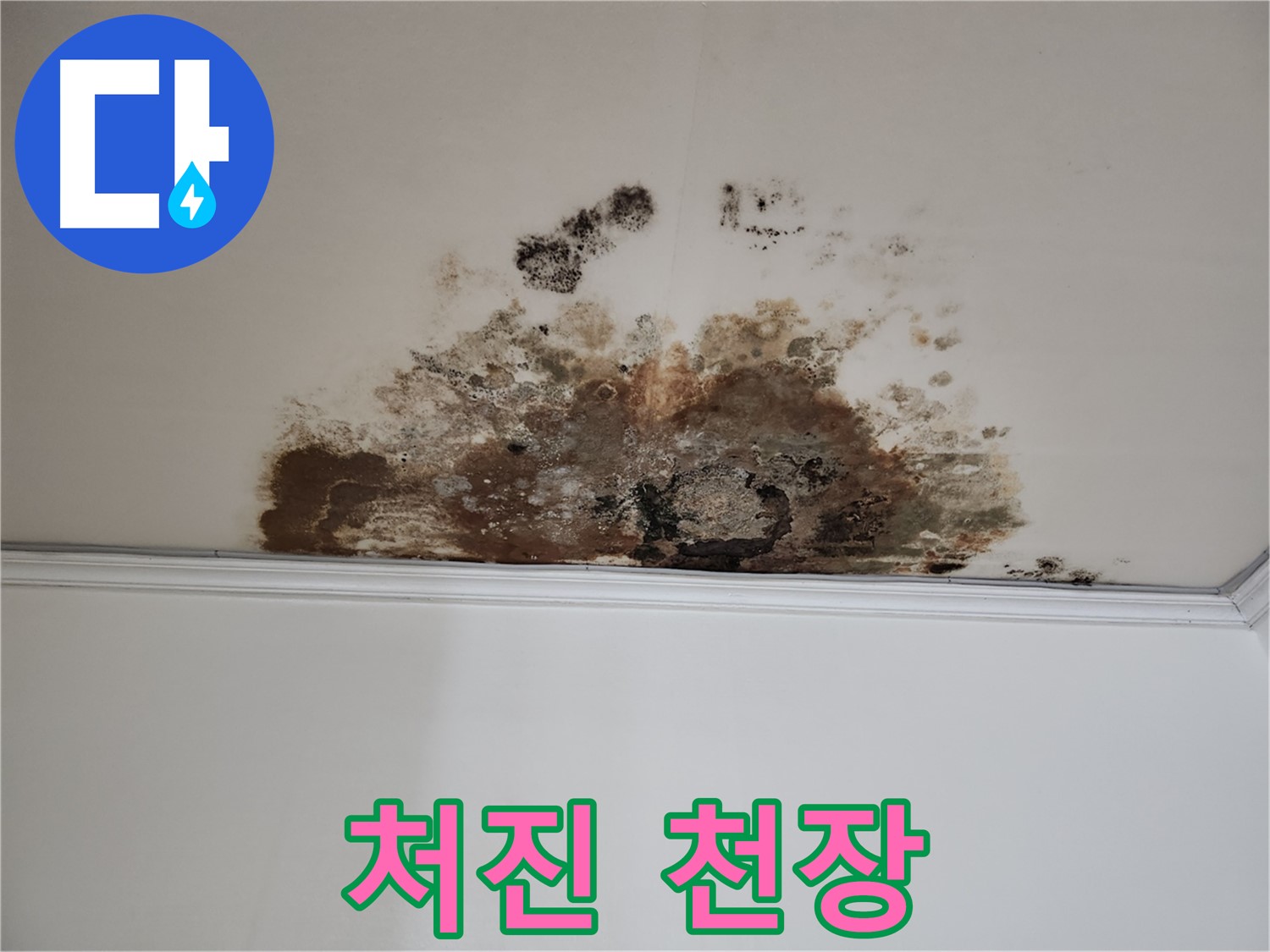 용강동 누수 - 곰팡이, 처진 천장
