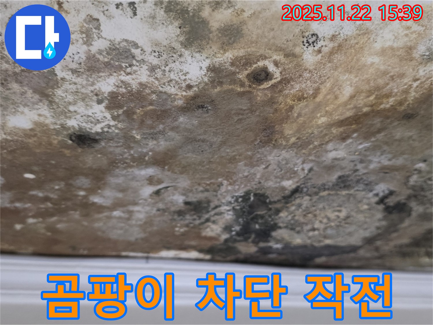 용강동 누수 - 곰팡이 천장, 완벽 차단 작전 개시!