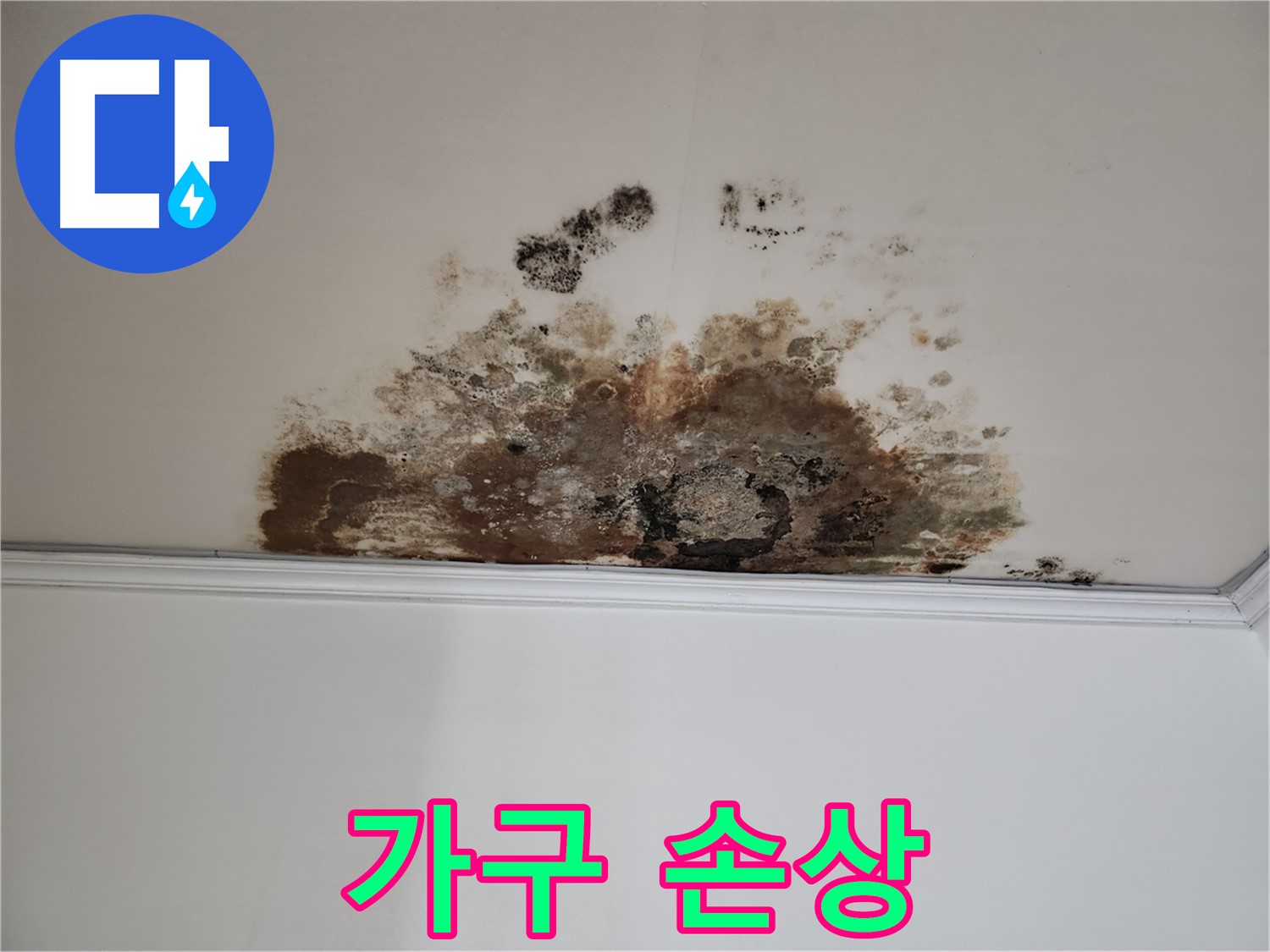 용강동 누수 - 곰팡이로 인한 가구 손상
