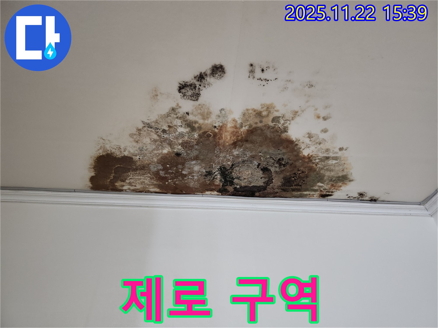 용강동 새창로8길 누수 - 곰팡이 제로 구역, 현대홈타운 깨끗한 집