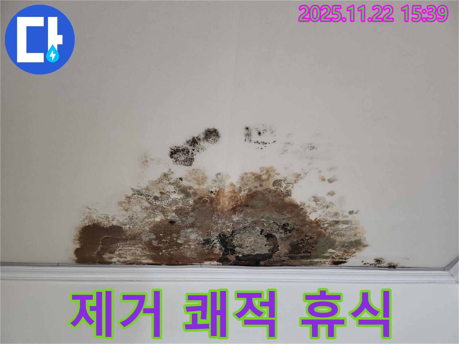 용강동 아파트 - 곰팡이 천장, 곰팡이 제거로 쾌적한 환경에서 편안한 휴식을