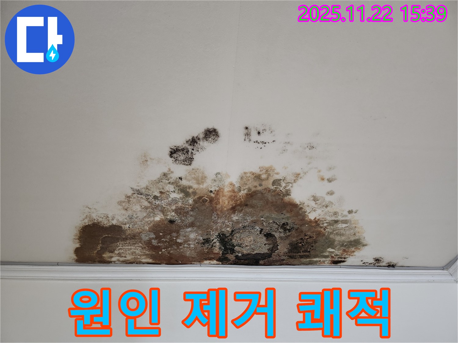용강동 아파트 - 곰팡이 천장, 누수 원인 제거로 쾌적한 공간 조성