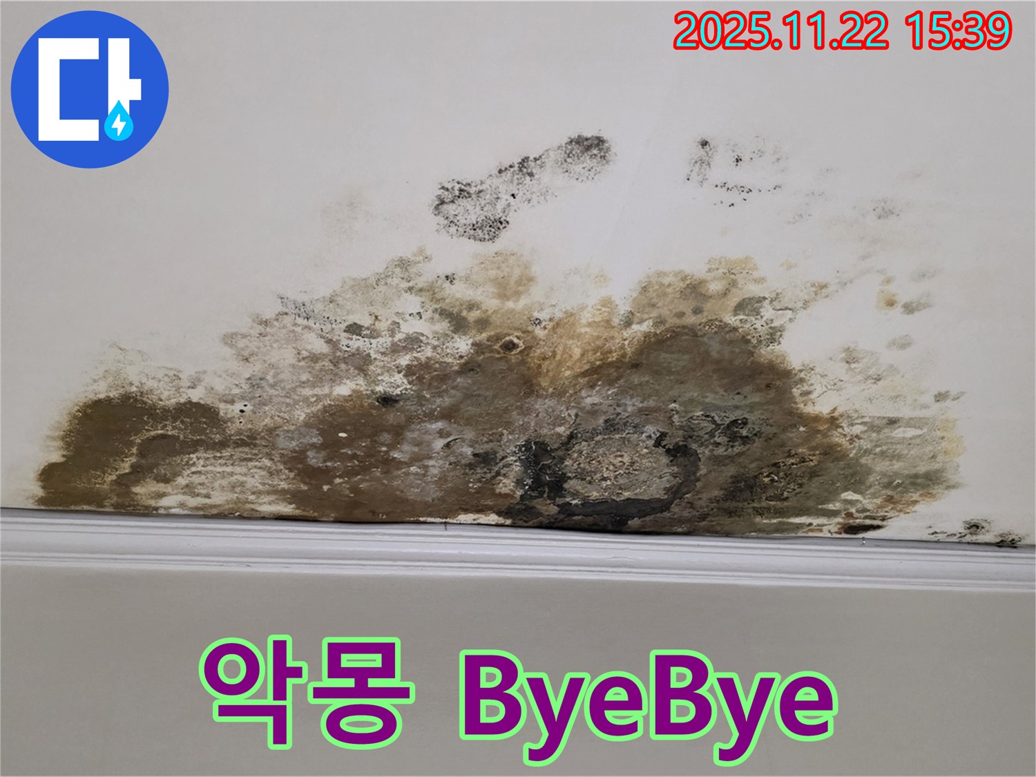 용강동 아파트 누수 - 곰팡이와의 악몽 ByeBye, 쾌적한 공간에서 행복 충전 완료!