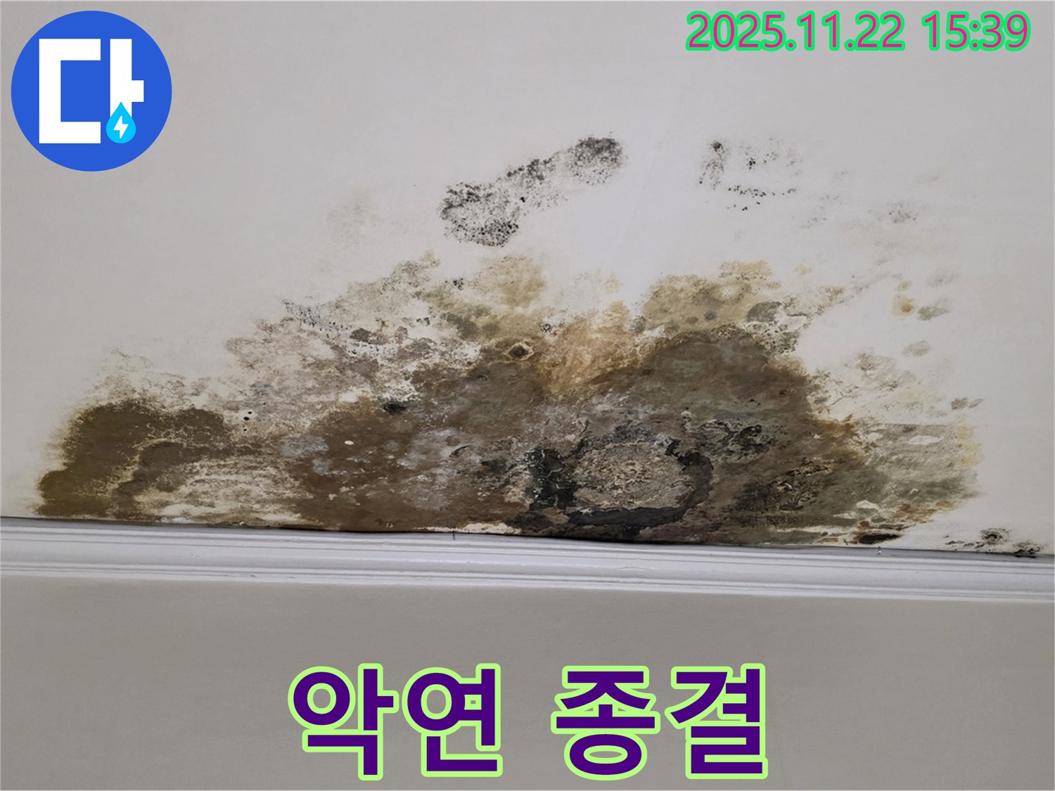 용강동 아파트 누수 - 곰팡이와의 악연 종결, 쾌적한 공간에서 힐링!