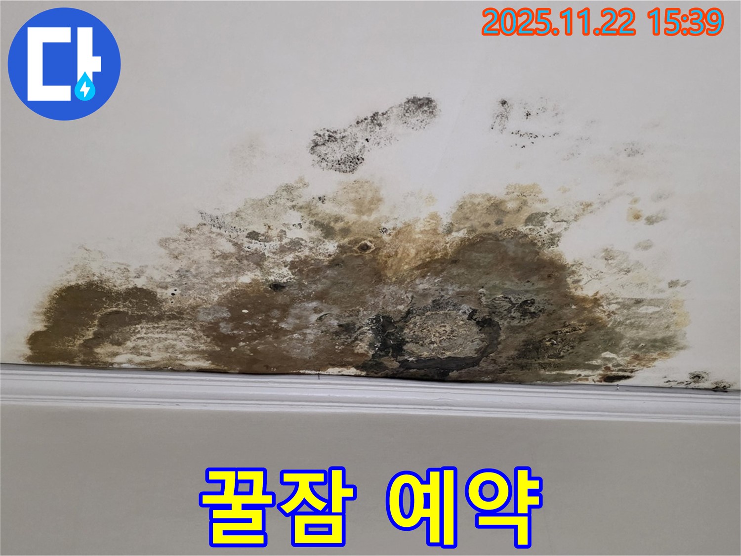용강동 아파트 누수 - 곰팡이와의 전쟁 끝! 쾌적한 공간에서 꿀잠 예약